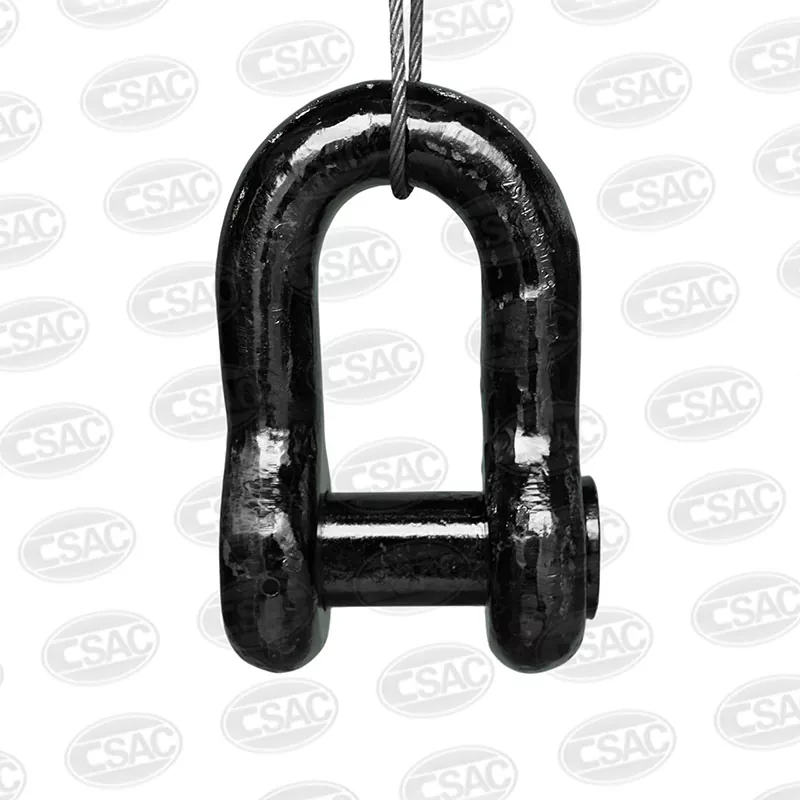 finis Shackle
